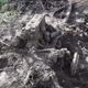 Image for article titled Family Finds Remains Of Old Daimler Car Buried In Their Yard